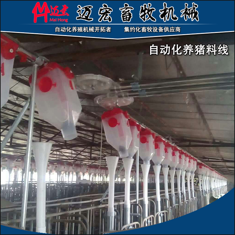 養(yǎng)豬料線(xiàn)全自動(dòng)飼喂系統(tǒng)